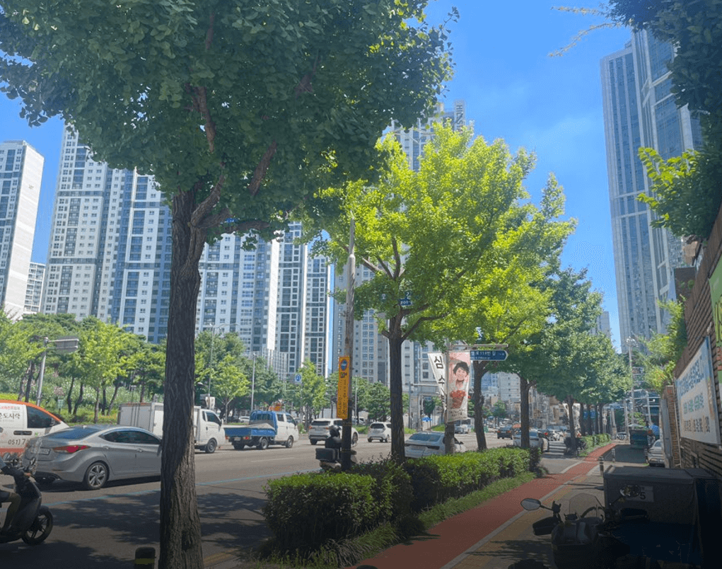 애기동백외 수목 이식건