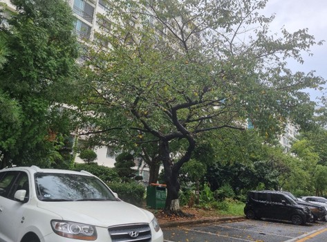 남천2-3(삼익비치) 재건축