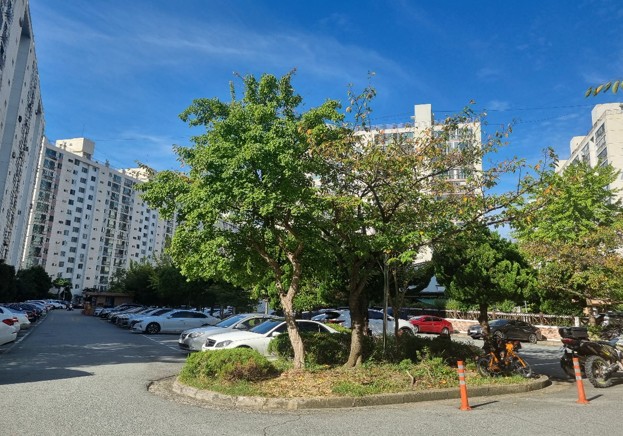 우동1(삼호가든) 재건축